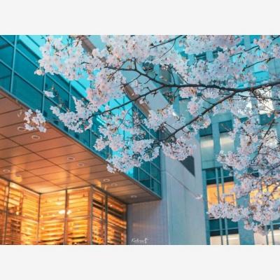 澳门太阳游戏城appapp下载